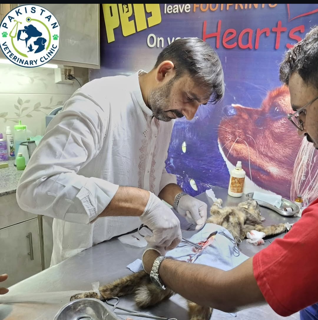 Post-operative review and monitoring